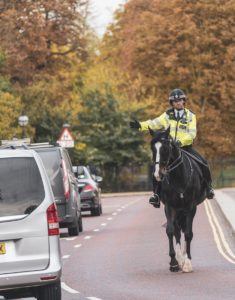 Policeman Riding a Horse